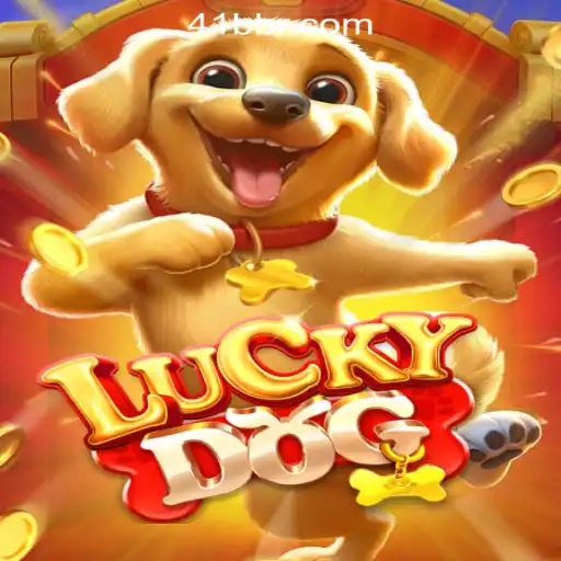 Exploring LuckyDog: Brazil's Premier Online Casino Experience